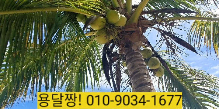  창천동용달,창천동원룸이사