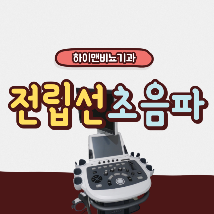  전립선 초음파 검사방법 경직장 전립선 초음파