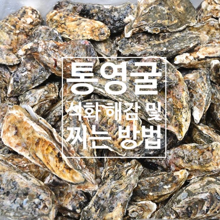  제철굴 통영굴, 석화 해감과 석화 찌는 방법<석화찜, 굴찜 집에서 쪄 먹기>