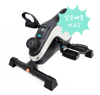  확찐자의 슬기로운 홈트생활 이고진 쇼파바이크
