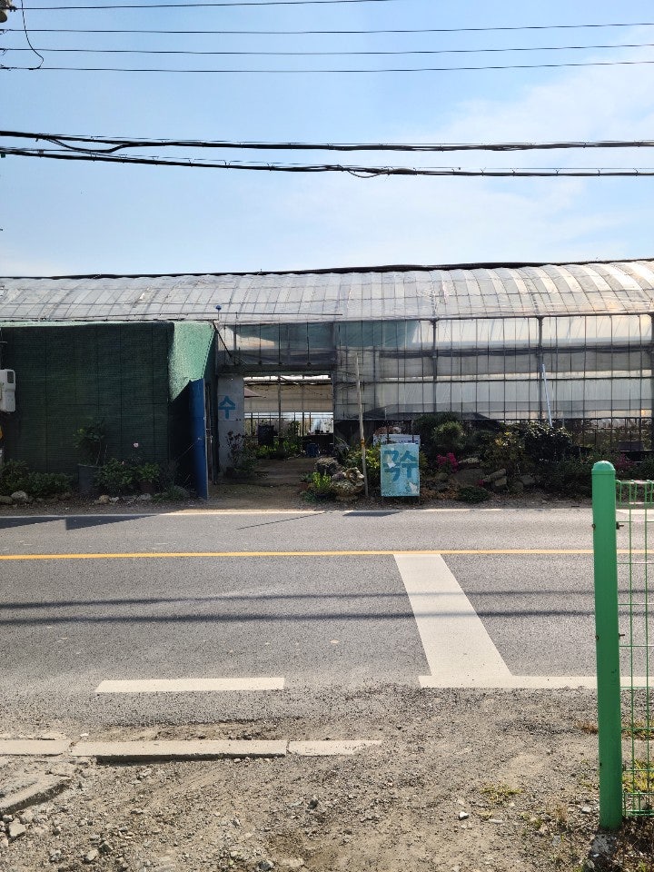 수국농원국수 사진 4