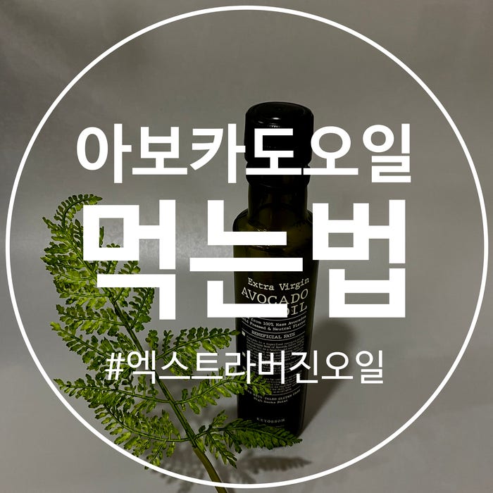 아보카드오일 먹는법 +효능+레시피까지 완벽정리!!