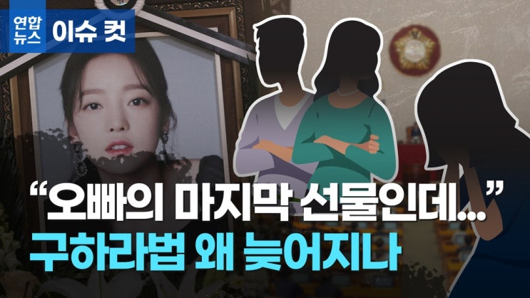 제2, 제3 피해자 쏟아지는데… 구하라법은 언제 나오나/ 연합뉴스TV