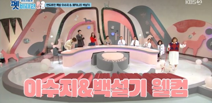  반려 가족을 위한 ‘펫비타민’ 3회, 비만견 누명을 벗은 설기