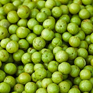  마법의 가루? 암라(Amla)를 찾았다!