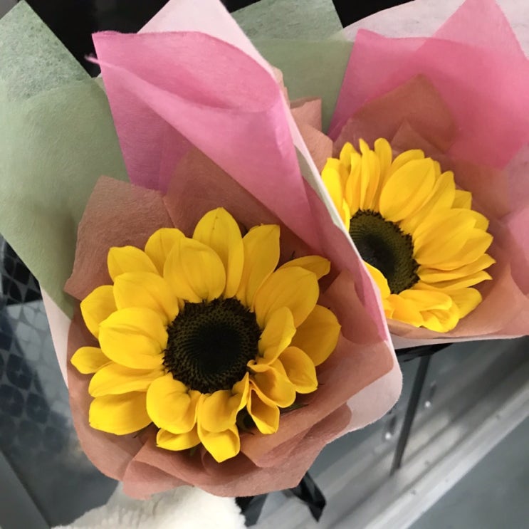  서프라이즈 해바라기 꽃다발 선물하기