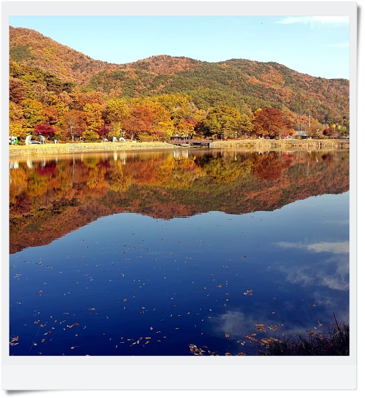  영월 단풍이 멋진 공원