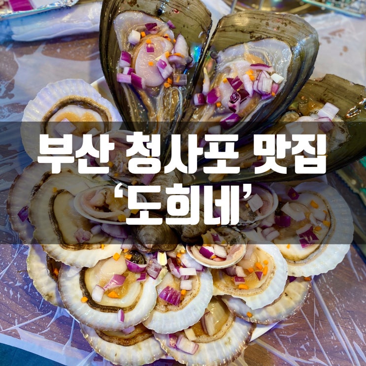 청사포 조개구이 도희네에서 조개구이 먹고왔어요 청사포 맛집은 여기