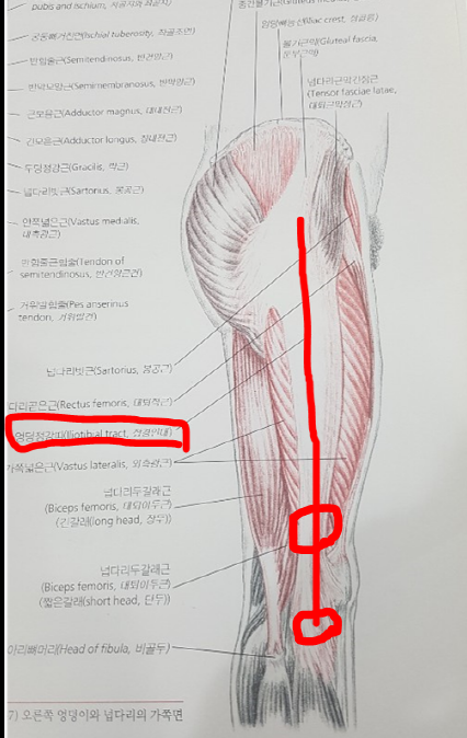  가좌동 한의원 무릎 치료 5번째 다사랑한의원