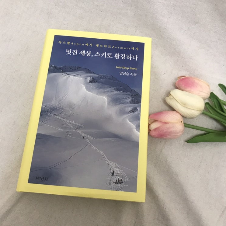  [겨울여행 에세이] 겨울 스키의 모든 것 '멋진 세상, 스키로 활강하다'