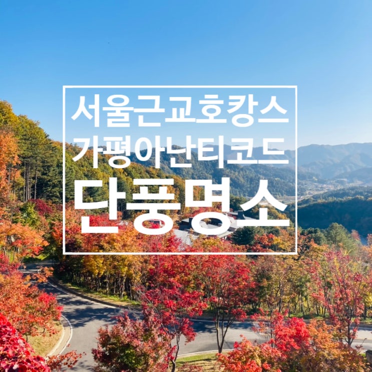  가평 아난티코드 서울근교 호캉스 단풍명소