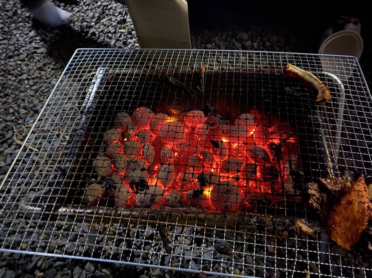  어니의 저녁일상 l 남자는일직선이지!(반성이 필요한 날)
