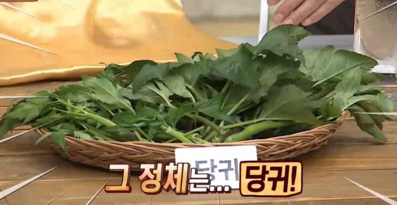 당귀차 효능은커녕 부작용으로 혈압이