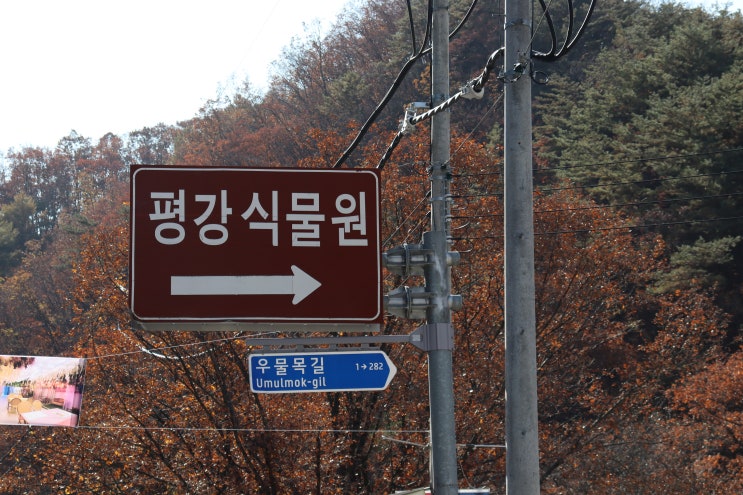  꽃과 경치가 예쁜 포천 평강식물원 평강랜드