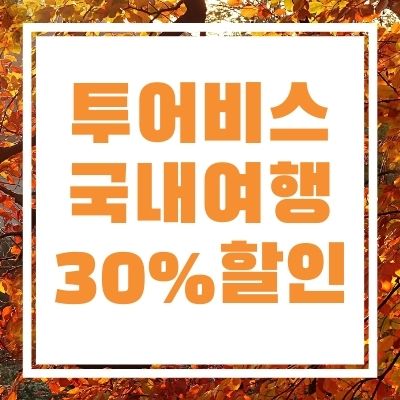  투어비스로 30%할인받고 국내여행 떠나자