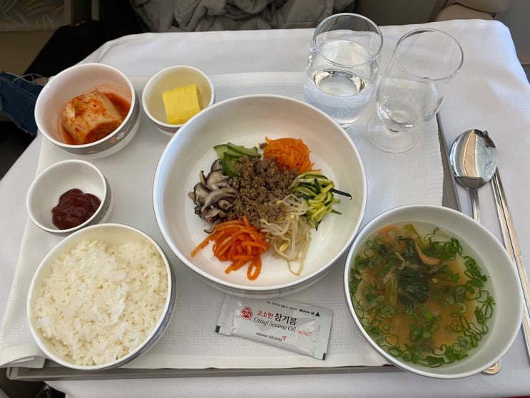  코로나 절정기 뉴욕 경유 한국 입국 후기(아시아나비지니스)