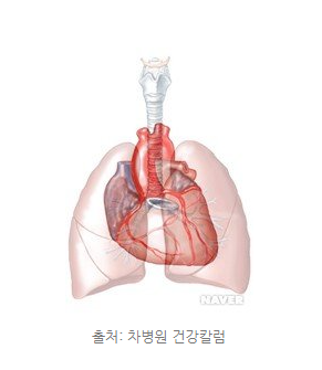  심 장 병