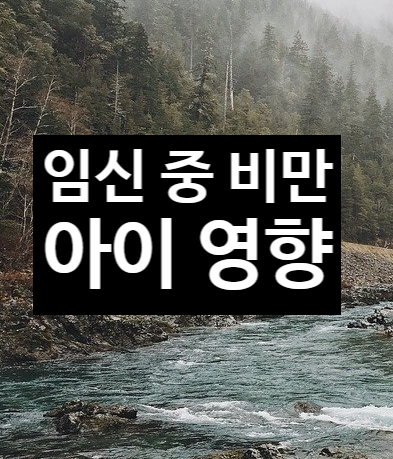  임신 중 비만과 아이에게 미치는 영향