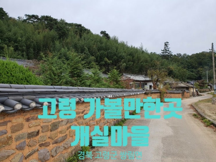  경북 고령 가볼만한곳"개실마을"