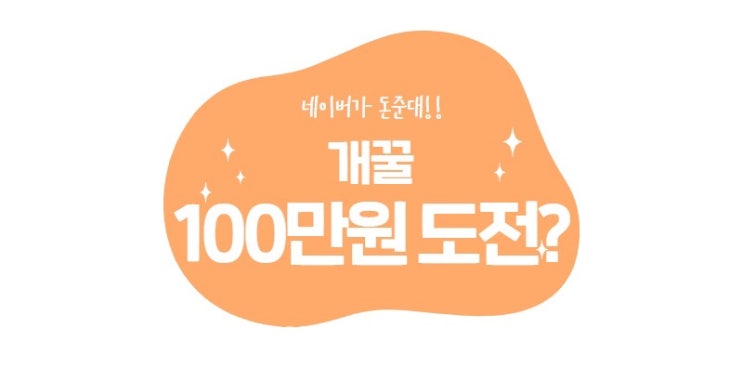  네이버 블로그 수익 애드포스트 말고 또 다른 방법.txt