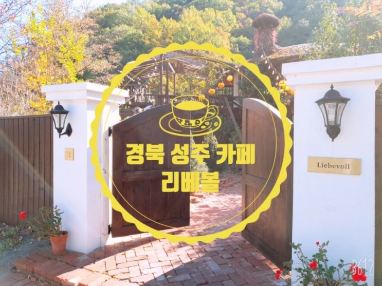  성주 카페 리베볼 경치 좋은 애견동반카페