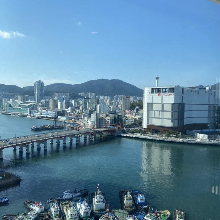  천방지축 우리의 일기 10월
