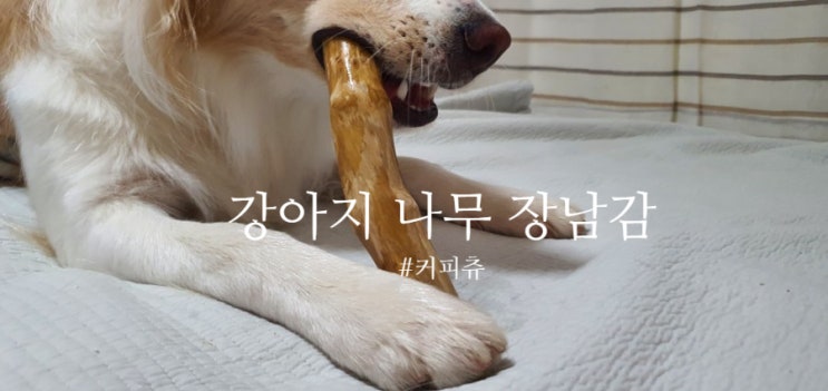  강아지 나무 장난감 우드스틱 커피츄