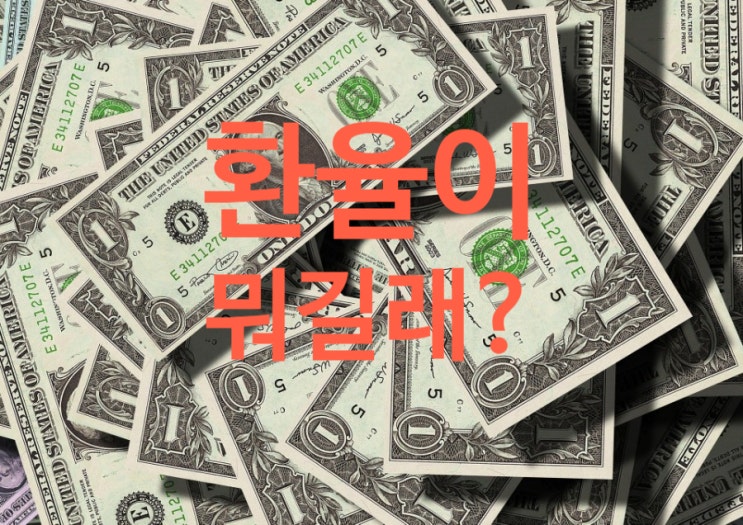  환율전망, 달러전망, 환율시세, 도대체 환율이 뭐길래?