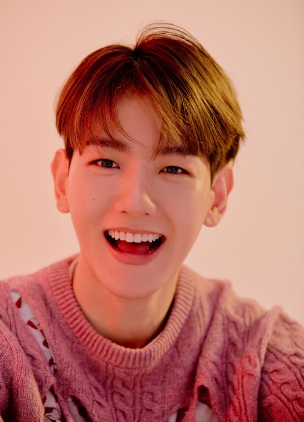  엑소 백현, 지인 사칭한 찬열 폭로글에 누구? 옹호 오픈카