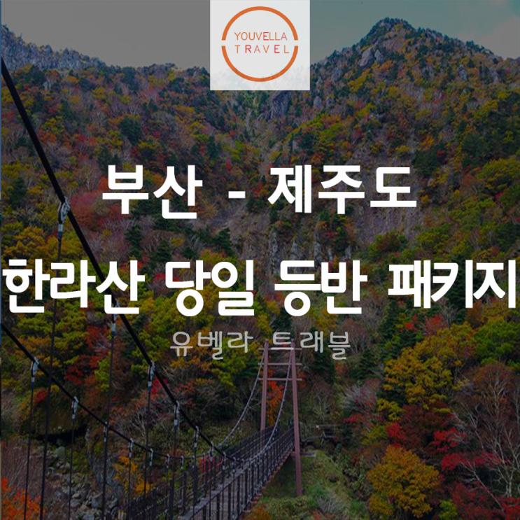  [부산출발] 제주도 한라산 당일 등반 패키지 여행 에어부산 선착순마감중