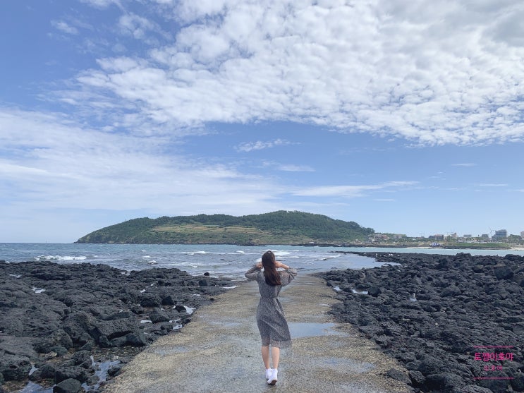  [DAY5] 제주도 여행 추천코스 4박5일 (제주공항 파리바게뜨 제주마음샌드, 해올렛직판장, 제주동문재래시장-깡통화덕, 아라파파 홍차밀크잼, 쌍화153, 제주공항 카카오프렌즈)