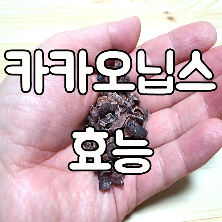  카카오닙스 차 효능 및 먹는법 그리고 부작용과 권장량