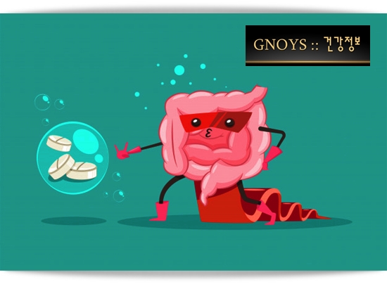  장건강지킴이, 자일로올리고당(xylooligosaccharide) 분말 효능 !