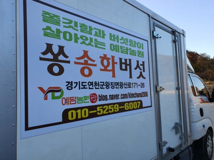  연천 예담농원 쏭송화버섯