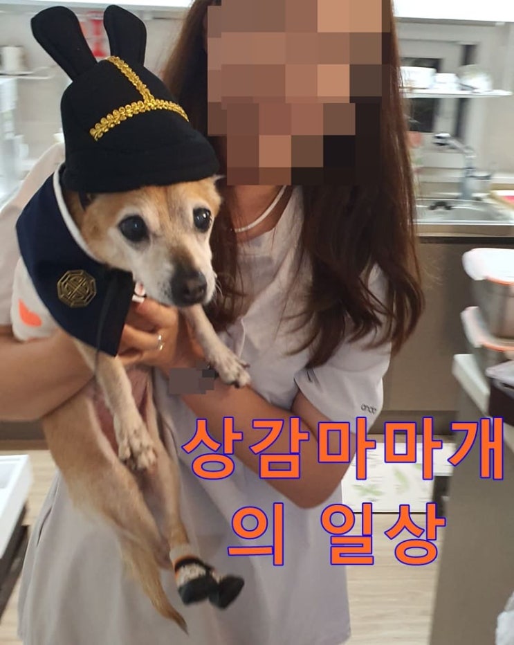  상감마마개의 일상