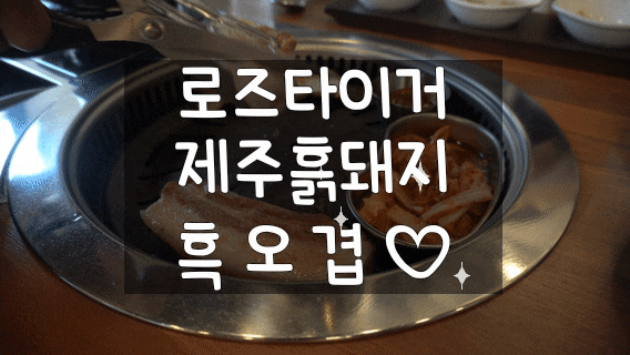 제주도맛집 로즈타이거제주흙돼지에서 제주흑돼지 먹고 왔어요!