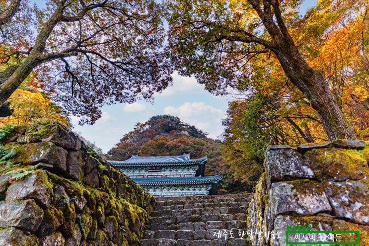  제주도 천왕사 & 천아계곡 단풍 소식(2020.10.30) [제주도 한달살기 숙소 씨사이드 이든]