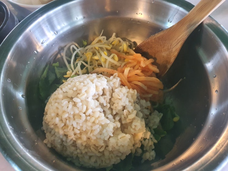  [대전 맛집] 보리밥이 생각난다면 가는 곳 솔밭묵집