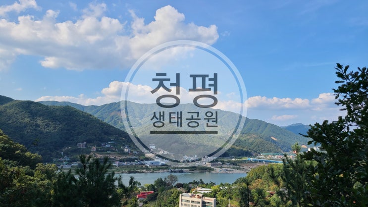  서울근교차크닉 청평생태공원