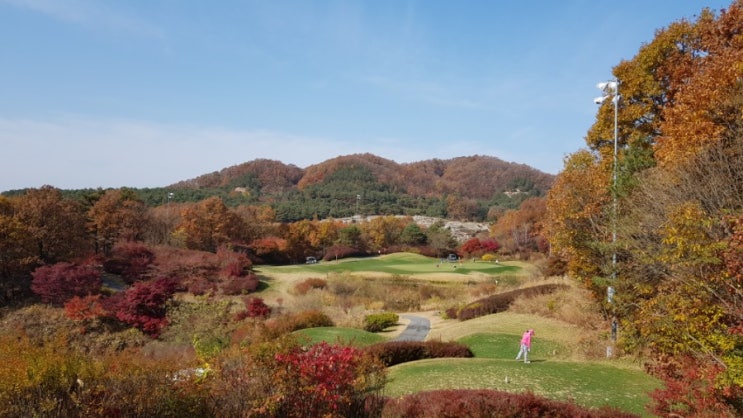 몽베르cc 단풍구경 (잊혀진 계절) 몽베르cc 단풍구경 (잊혀진 계절)