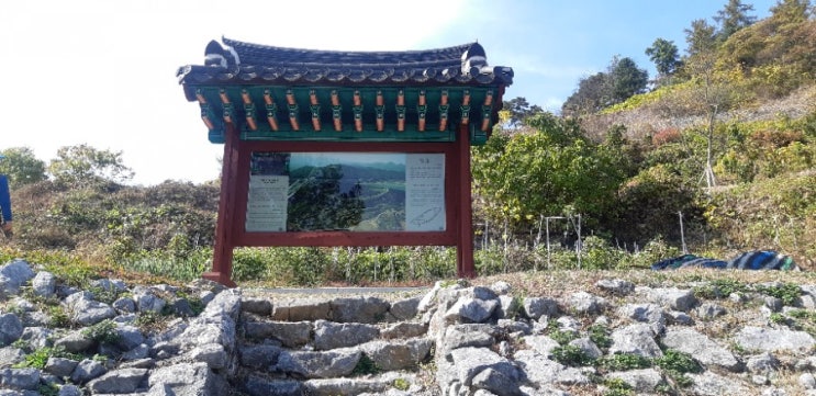  단양적성비