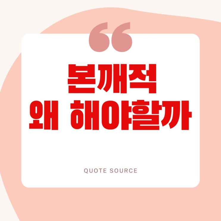  본깨적 독서후기