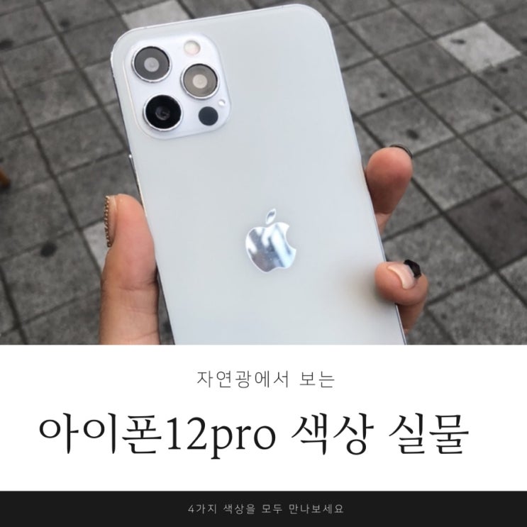  아이폰12프로 전색상 실물 자연광에서 찍어왔어요