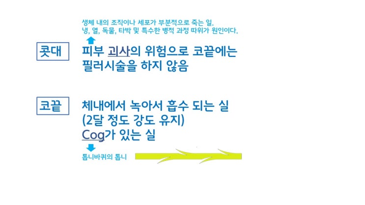  코실리프팅, 하이코, 미스코로 절대 대신할 수 없는 코끝성형