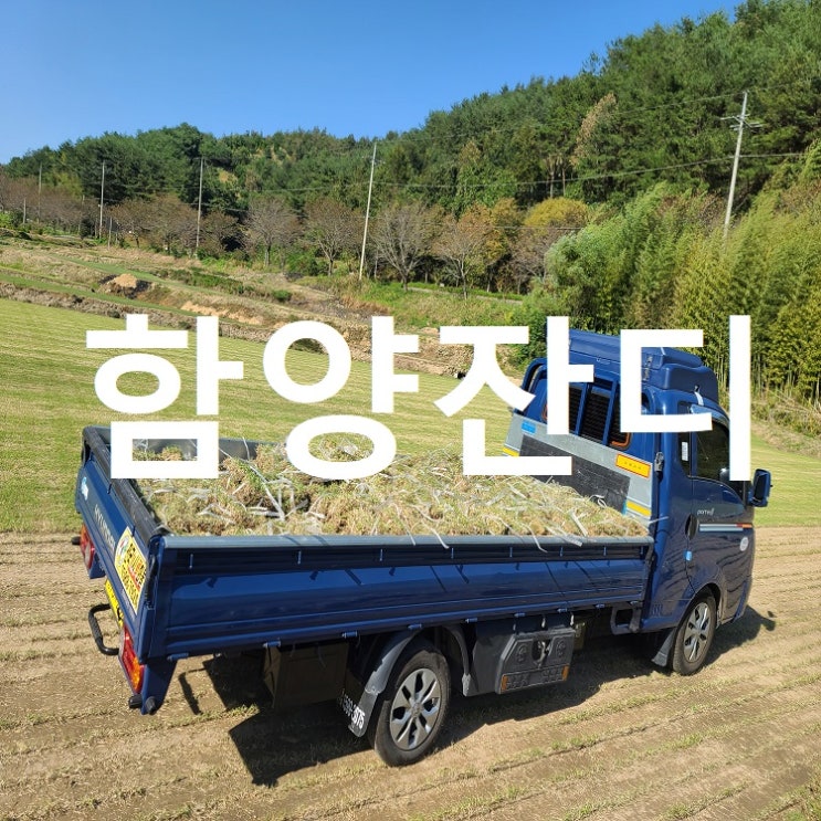  산삼, 산약초의 도시 함양 잔디 전원주택으로