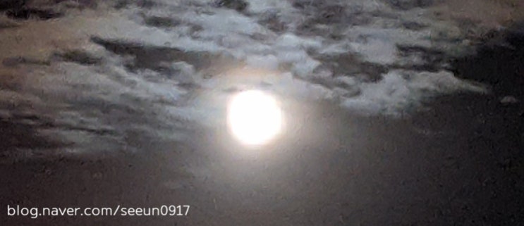  회사 도메인 선택 기준 자세하게 알려드림