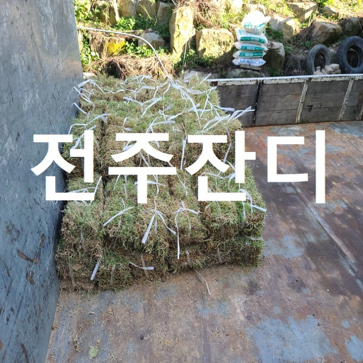 전북의 중앙 전주 잔디 배송
