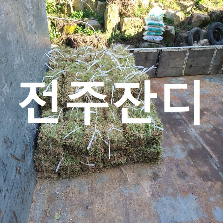  전북의 중앙 전주 잔디 배송
