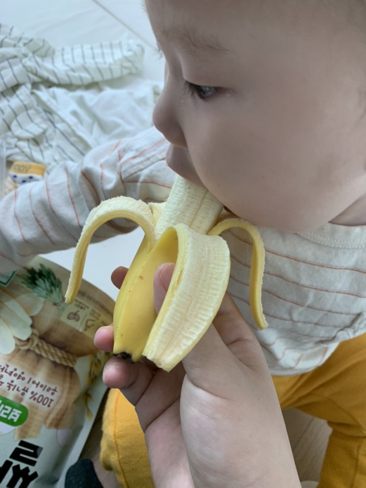  그가 바나나를 먹는 방법(?) :: 15개월차 아기의 바나나 먹기