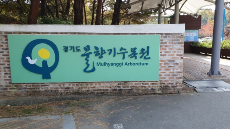  경기도 가볼 한만한 곳- 물 향기 수목원 다녀왔어요.